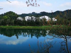 【代吵架業務】違法嗎？
